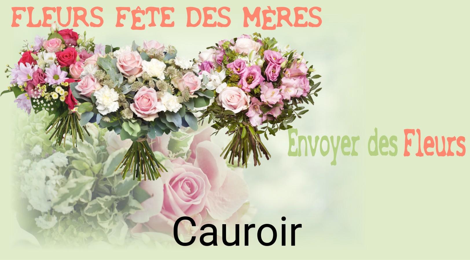 Bouquet de Fête des Mères livré à Cauroir